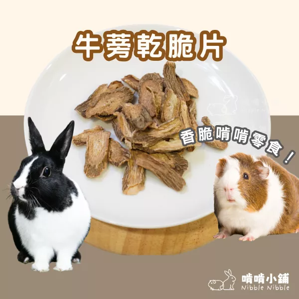 【嚴選零食系列】牛蒡乾脆片