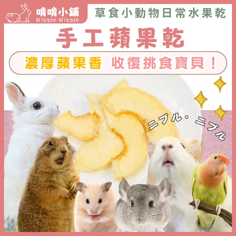 【量販賣場】蘋果乾30g(5入) ▶ 現省69元