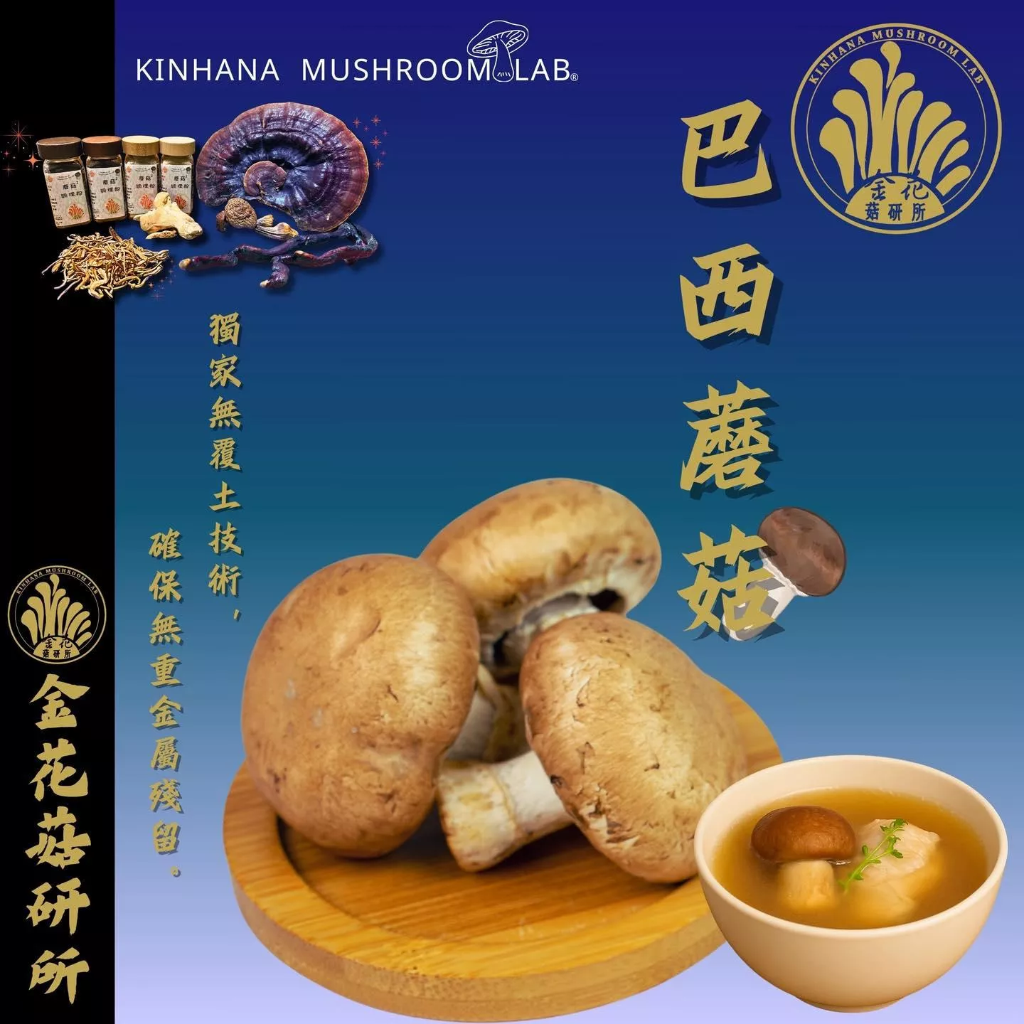 巴西蘑菇