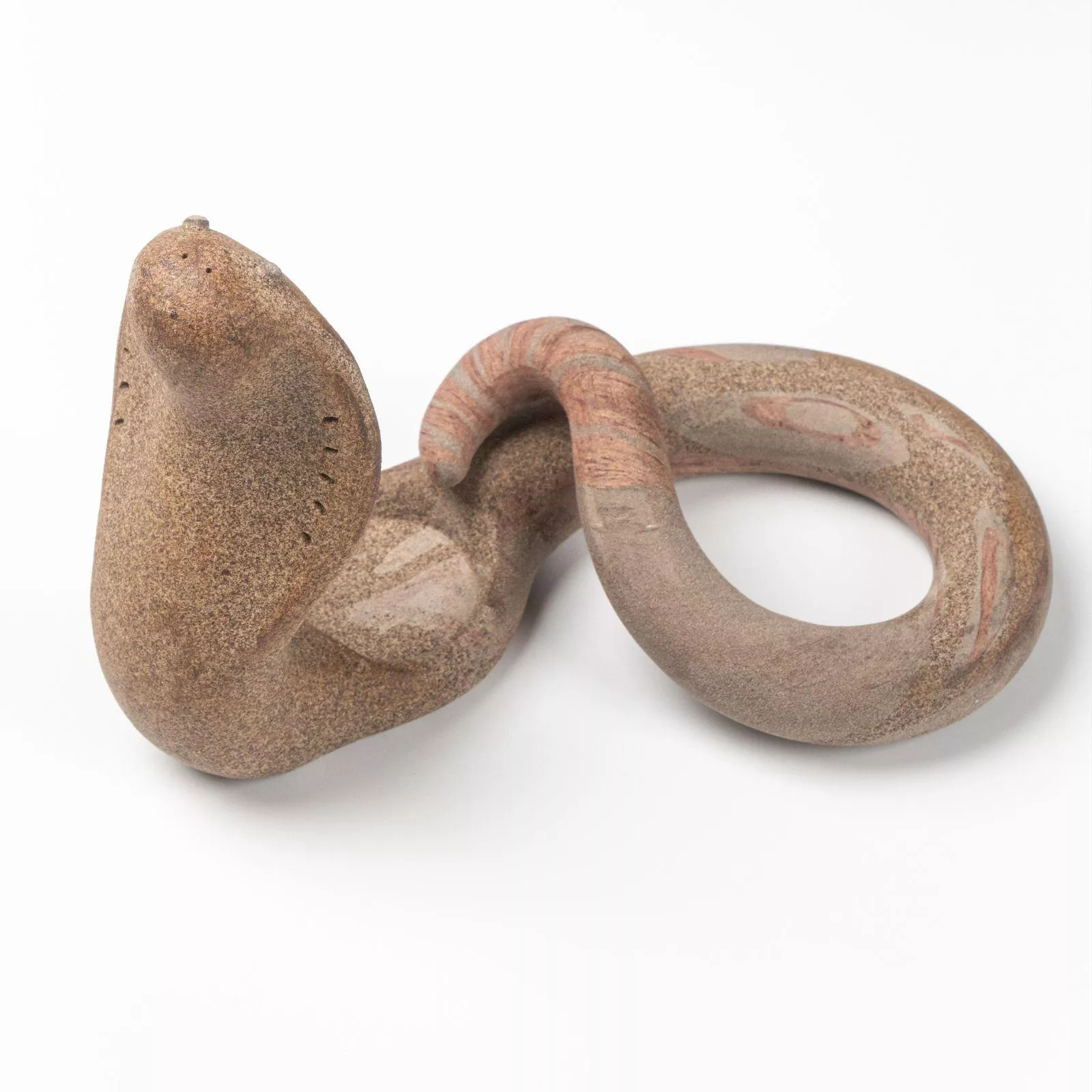 森蔦｜開運招財 - 鐵斑棕