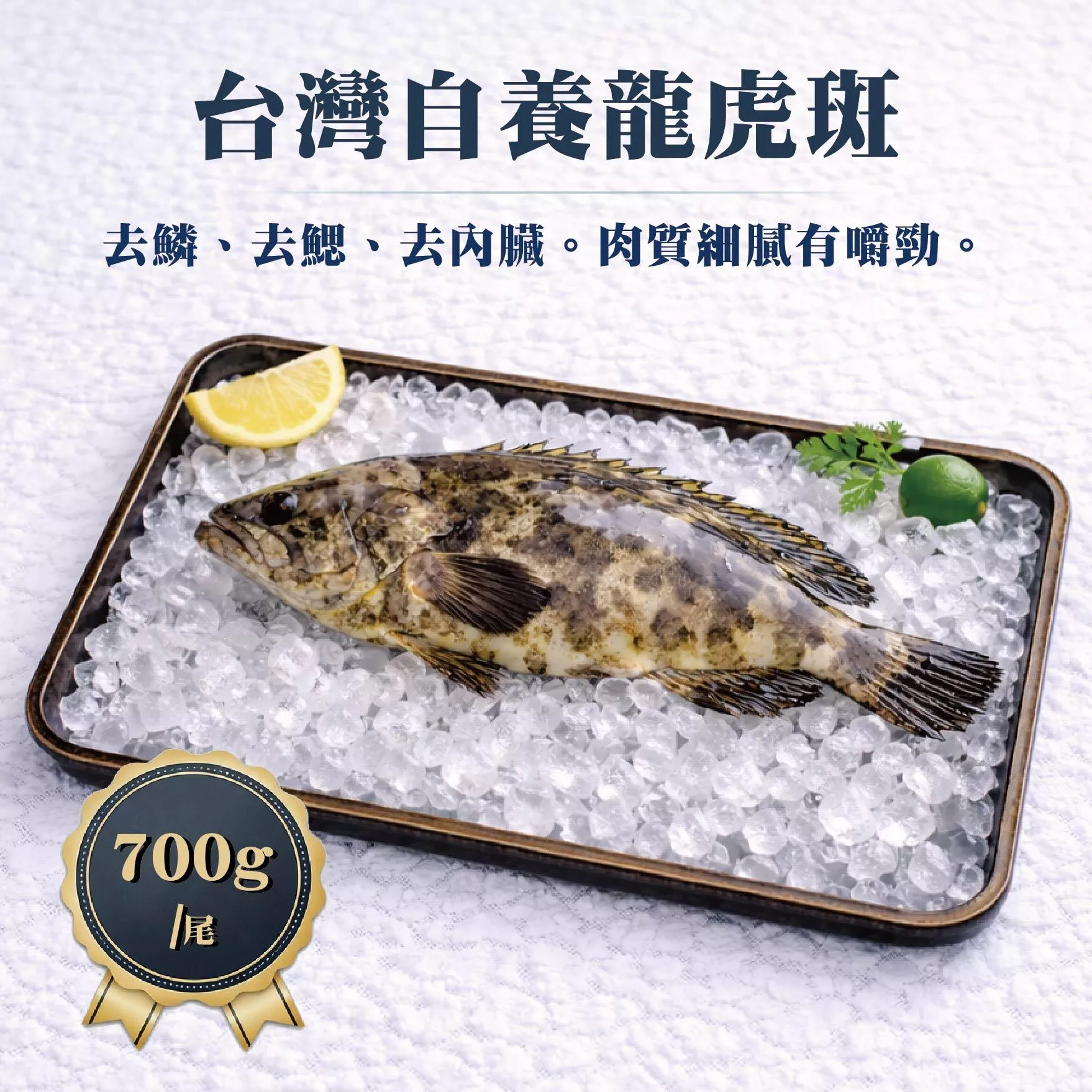 星堡水產 台灣自養石斑 700g