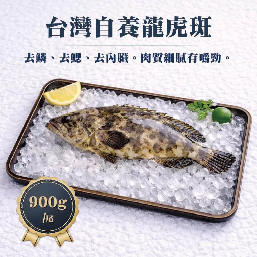 星堡水產 台灣自養石斑 900g