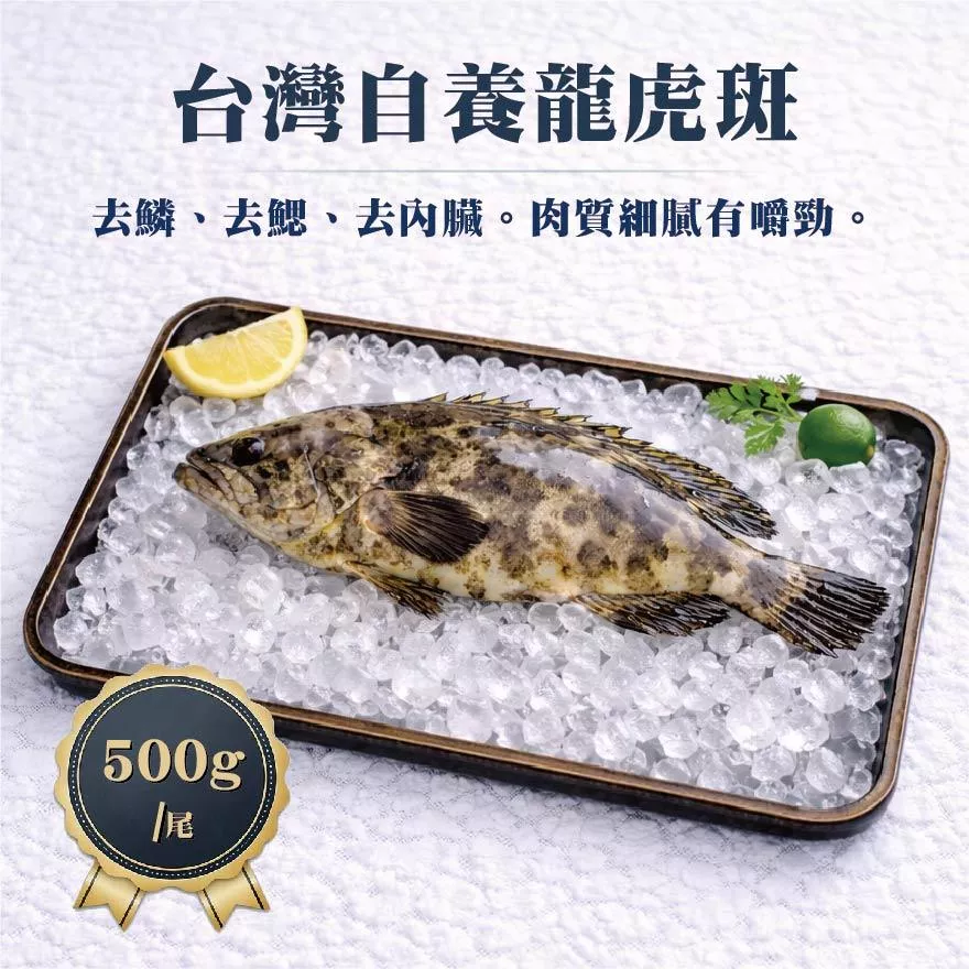 星堡水產 台灣自養石斑 500g