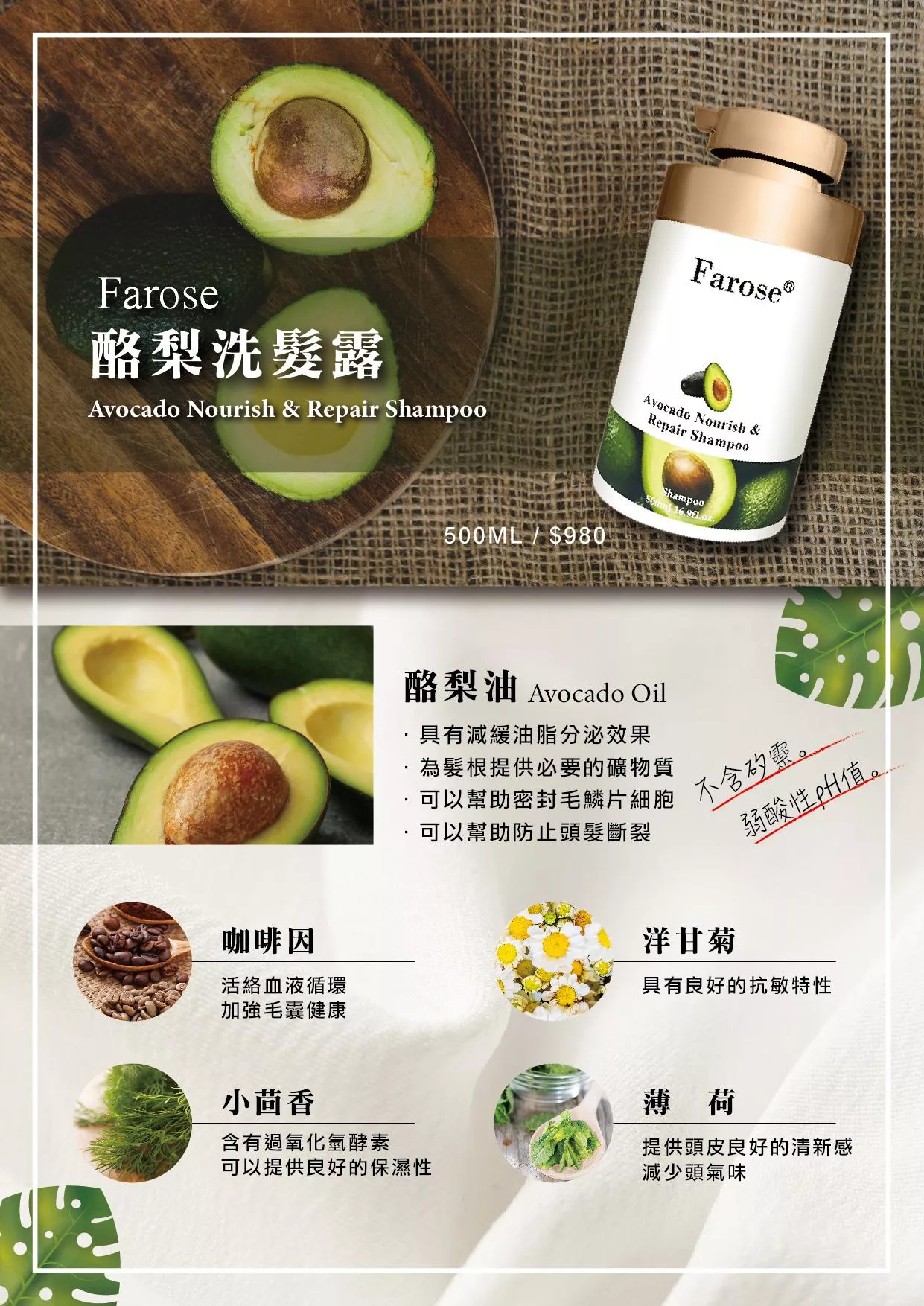 酪梨洗髮露-A4介紹-1_工作區域 1.jpg