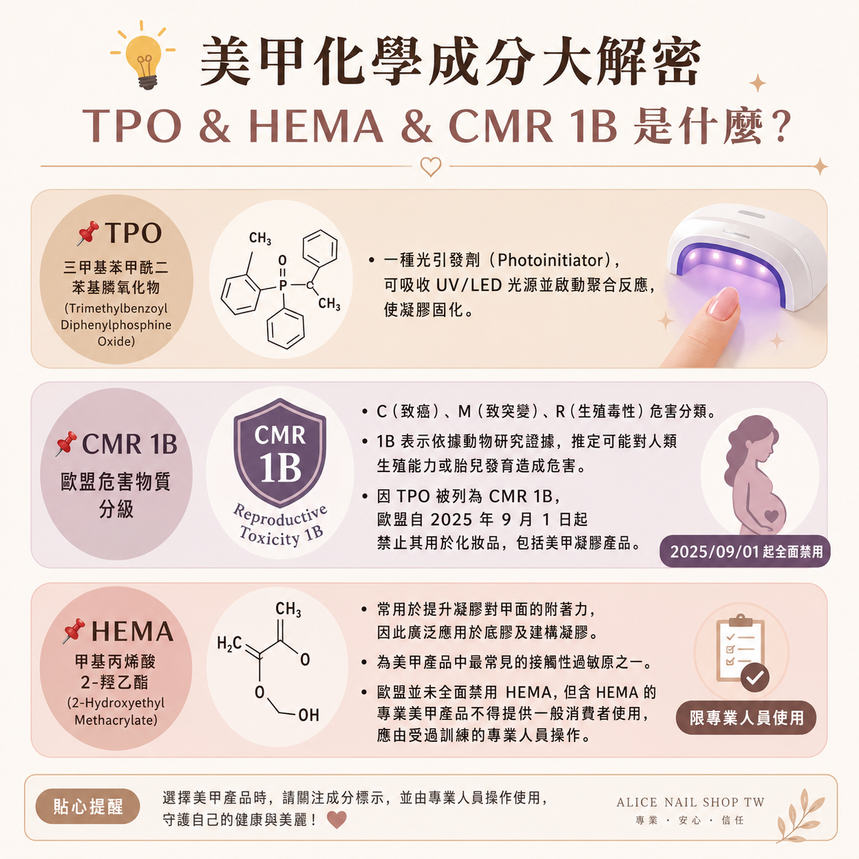 成份探討