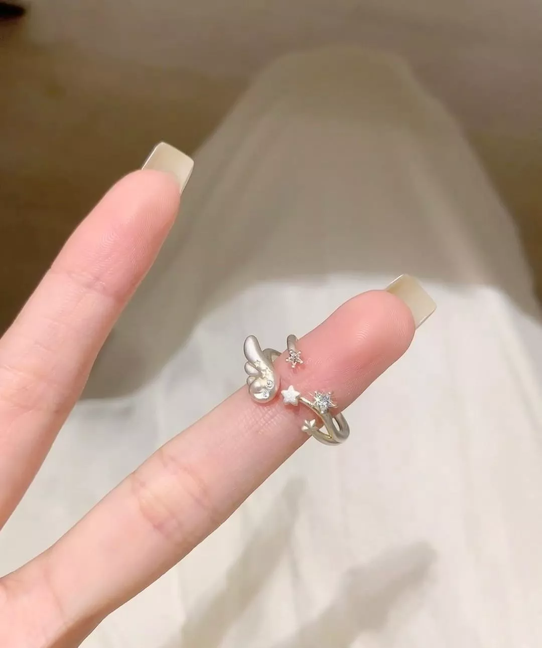 星願之意