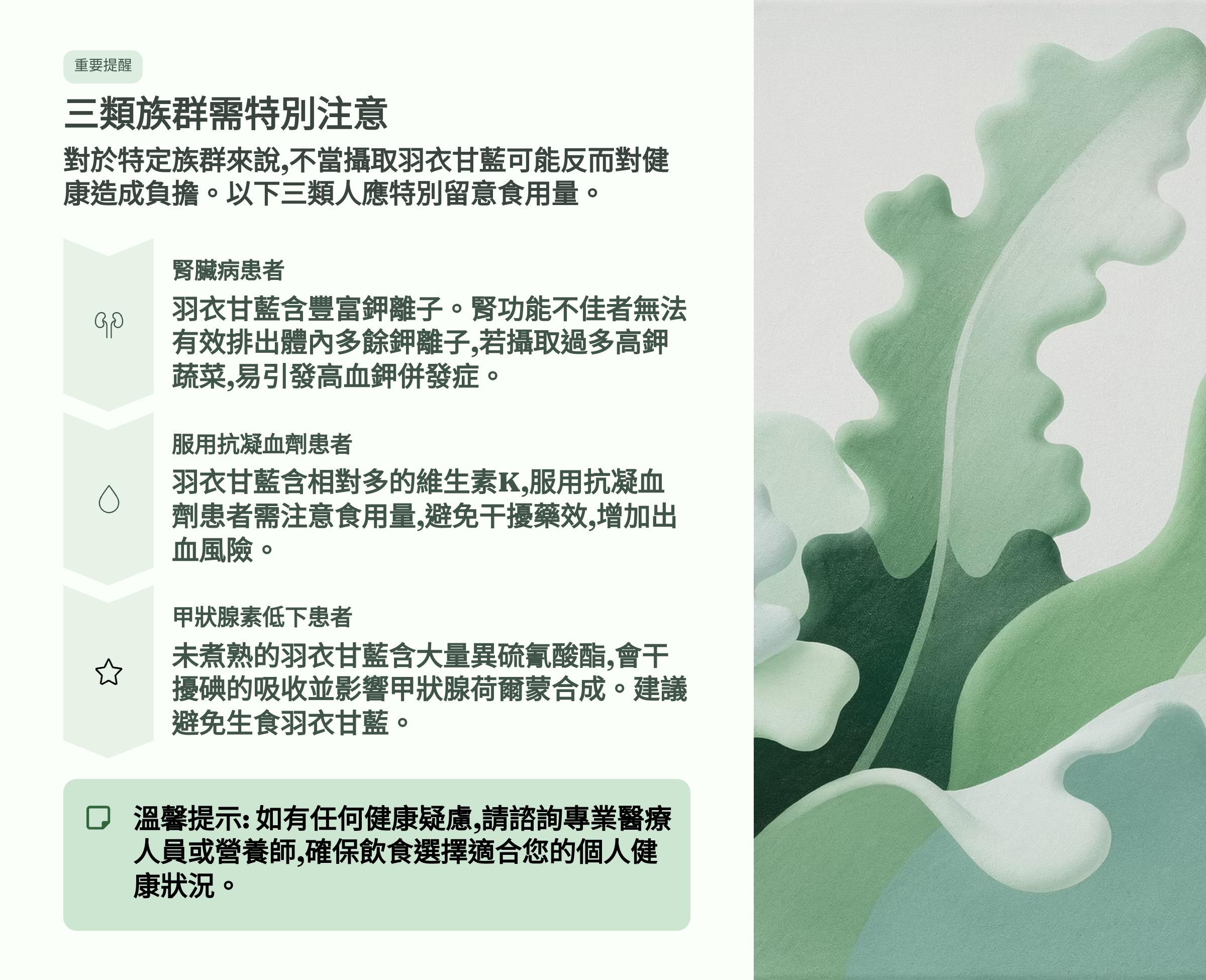 </br>重要提醒</br>三類族群需特別注意</br>對於特定族群來說，不當攝取羽衣甘藍可能反而對健康造成負擔。以下三類人應特別留意食用量。</br>腎臟病患者</br>羽衣甘藍含豐富鉀離子。腎功能不佳者無法有效排出體內多餘鉀離子，若攝取過多高鉀蔬菜，易引發高血鉀併發症。</br>服用抗凝血劑患者</br>羽衣甘藍含相對多的維生素K，服用抗凝血劑患者需注意食用量，避免干擾藥效，增加出血風險。</br>甲狀腺素低下患者</br>未煮熟的羽衣甘藍含大量異硫氰酸酯，會干擾的吸收並影響甲狀腺荷爾蒙合成。建議避免生食羽衣甘藍。</br>□ 溫馨提示：如有任何健康疑慮，請諮詢專業醫療人員或營養師，確保飲食選擇適合您的個人健康狀況。</br>