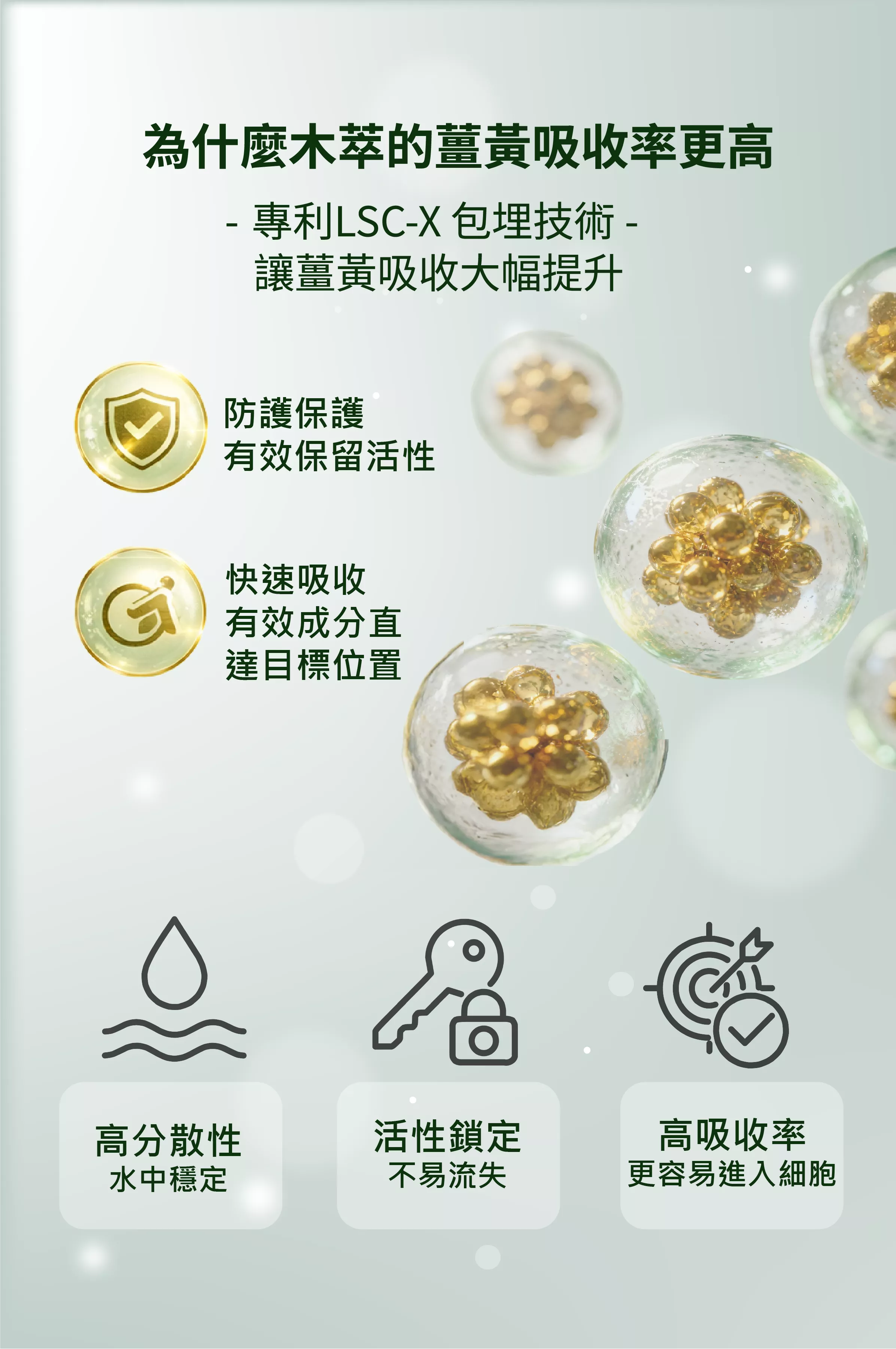 【為什麼木萃的將黃吸收率更高?】
高分散性:在水中能保持穩定,不易沉澱。
活性鎖定:有效保護營養成分,不易流失。
高吸收率:更容易進入細胞,提高吸收效率。
