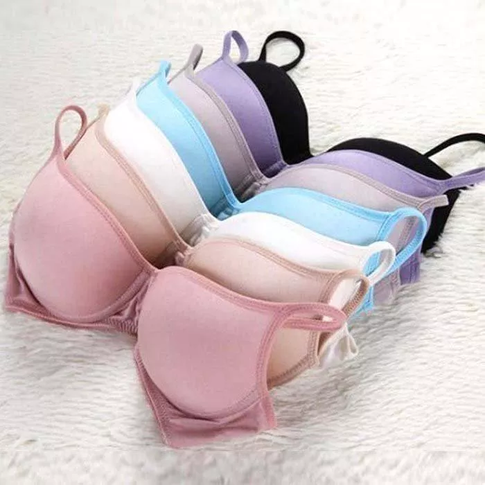 100%蠶絲無鋼圈蠶絲內衣