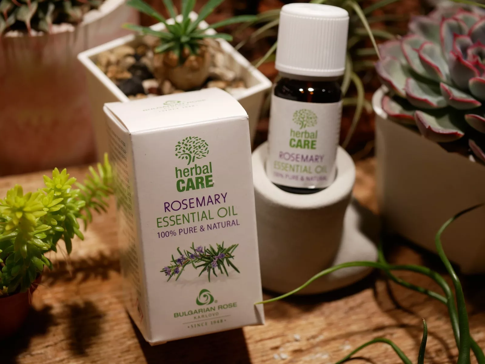 Herbal Care迷迭香精油(Rosemary Essential Oil)