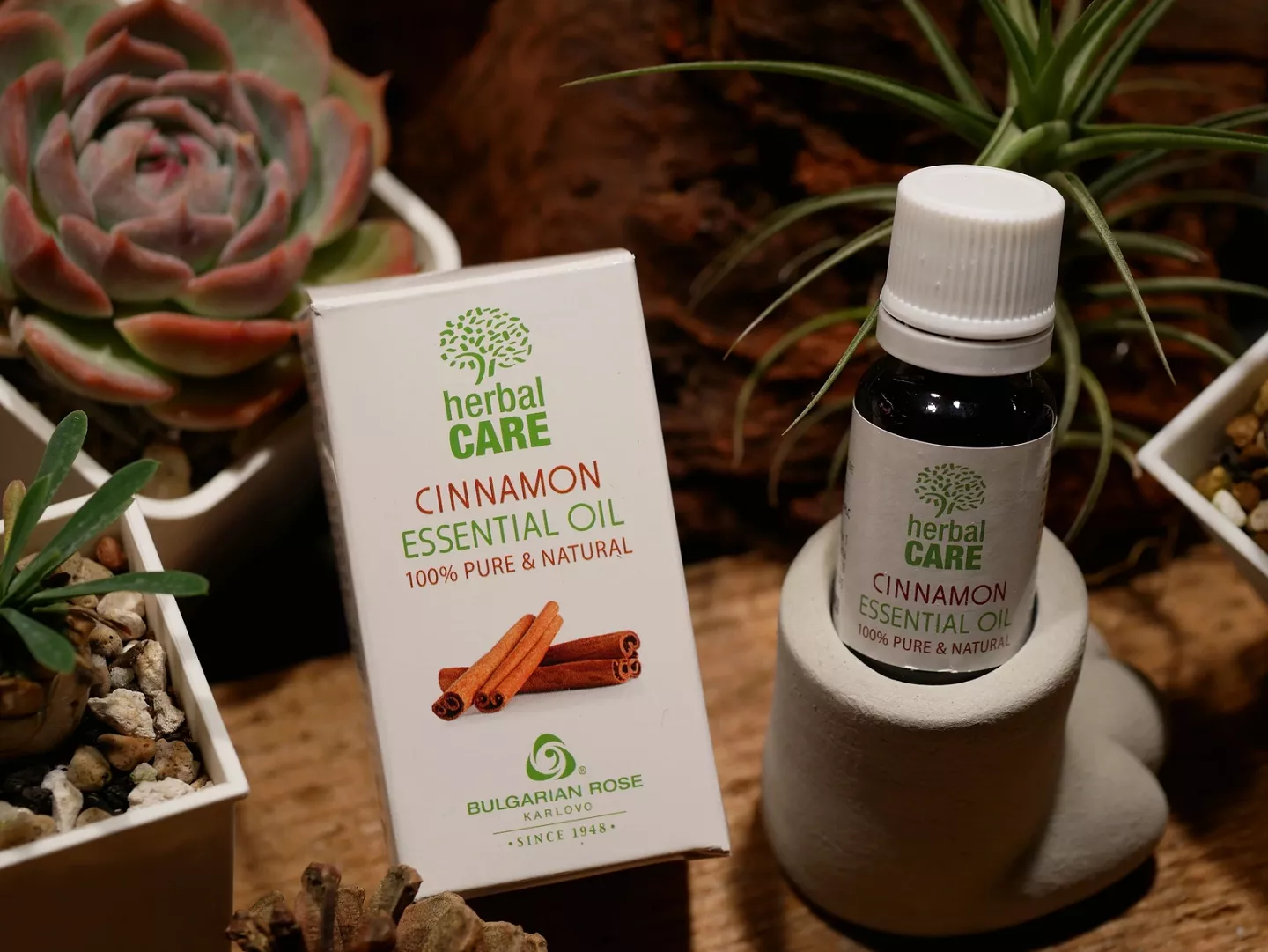 Herbal Care肉桂精油(Cinnamon Essential Oil)