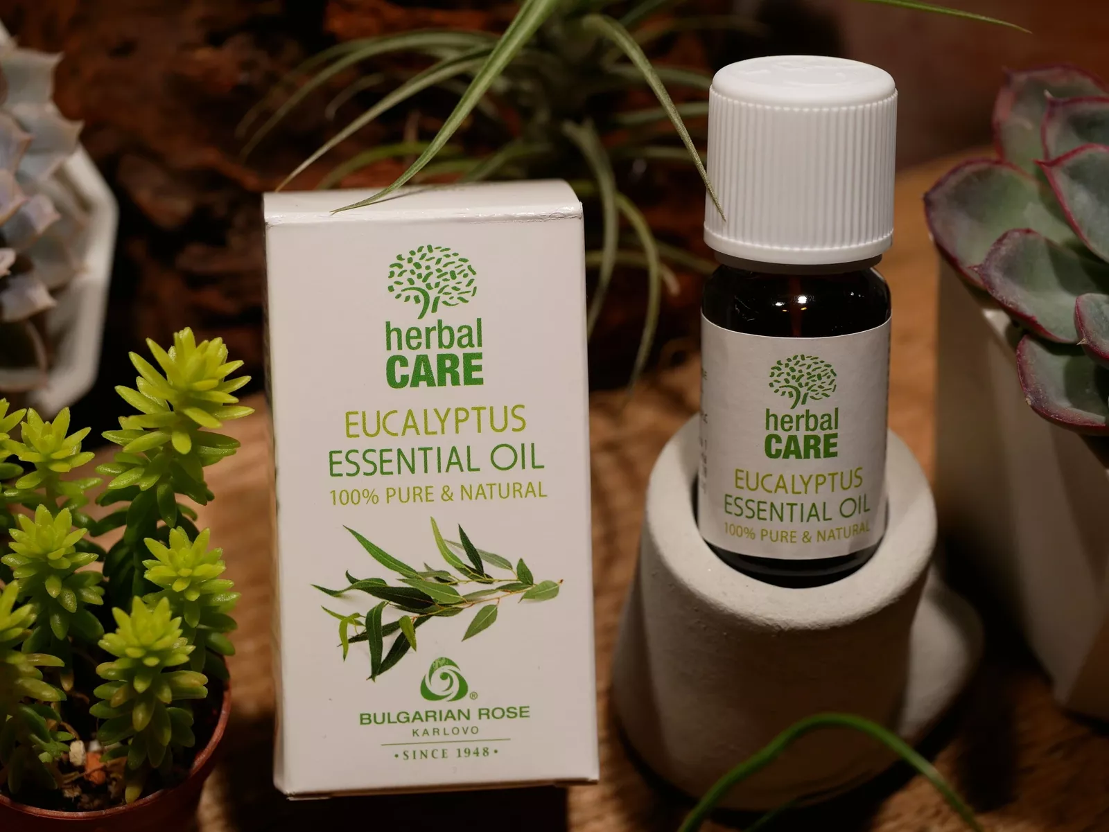 Herbal Care藍膠尤加利精油(Eucalyptus Globulus Essential Oil)