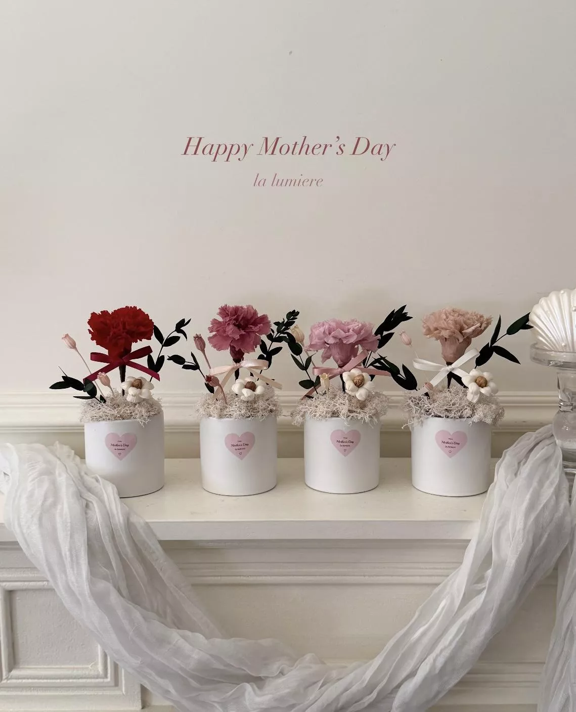 母親節永生康乃馨小盆花