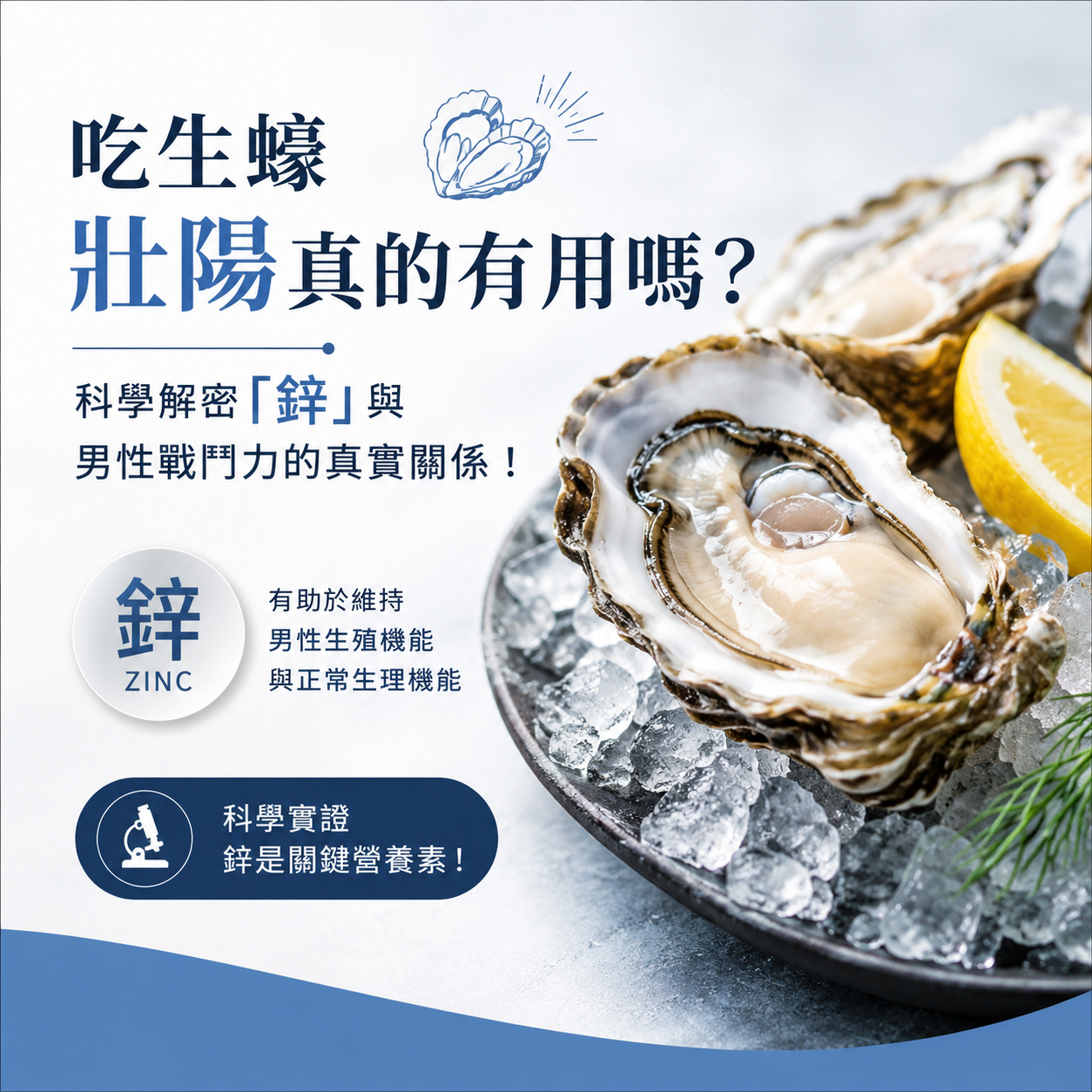 吃生蠔壯陽真的有用嗎？科學解密「鋅」與男性戰鬥力的真實關係！