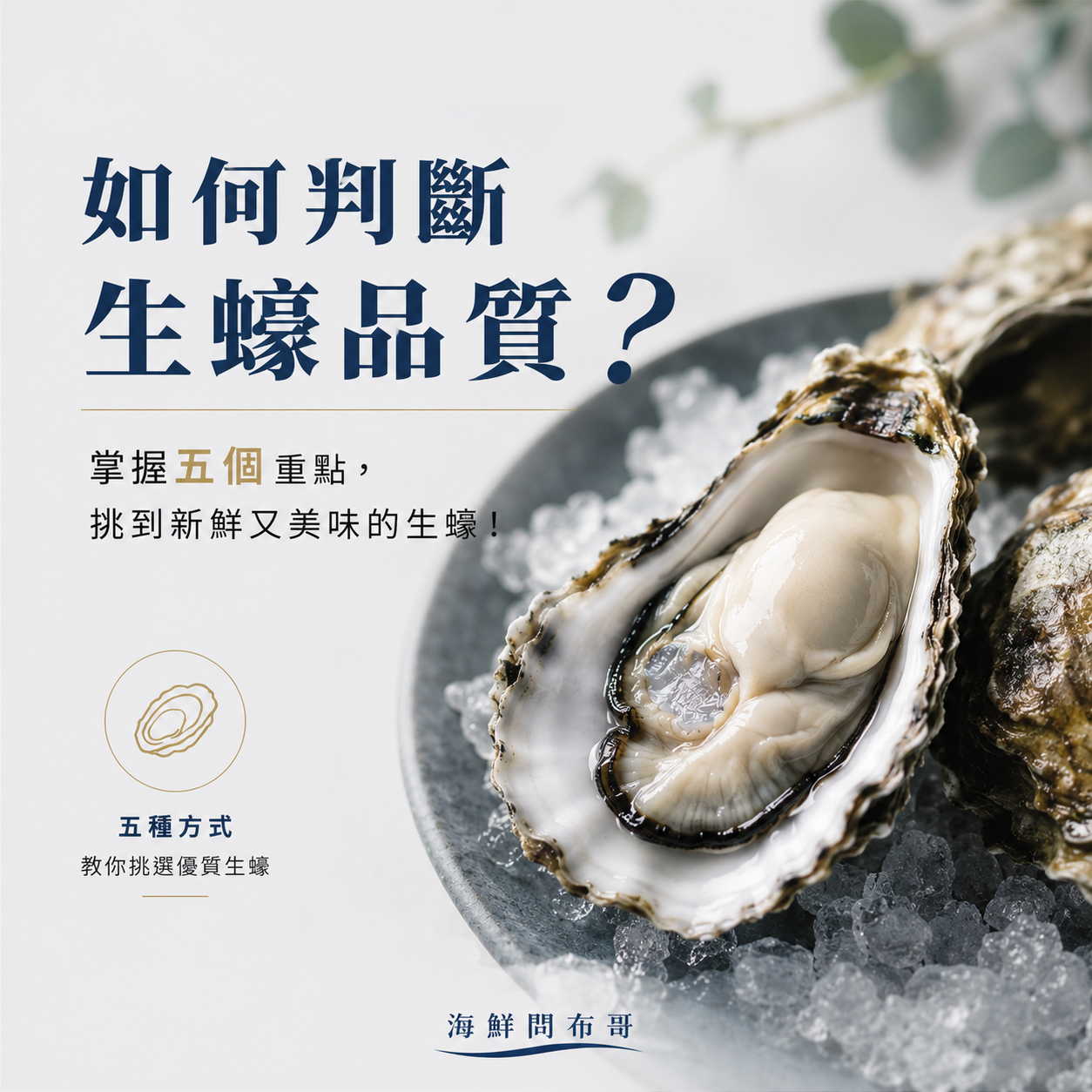 如何判斷生蠔品質？5 個重點教你挑到新鮮好生蠔，不怕踩雷！
