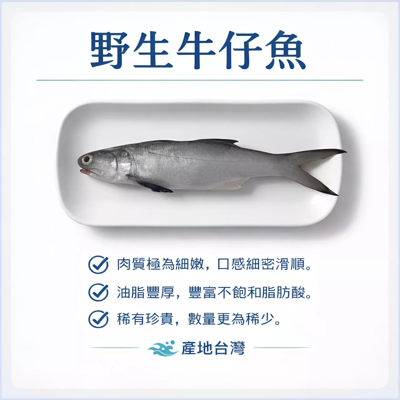 【海鮮問布哥】頂級野生三去午仔魚