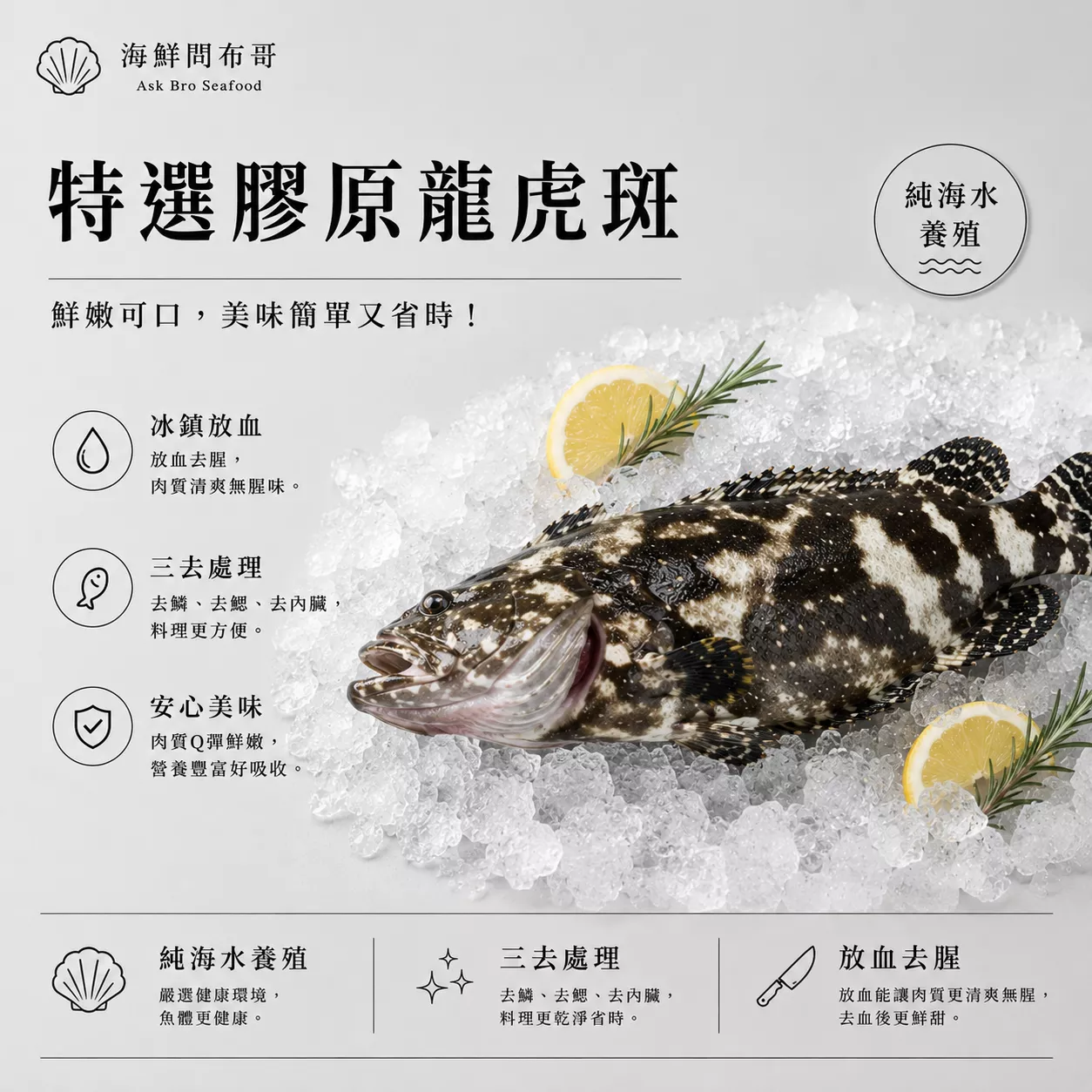 三去全魚 海養龍虎斑 (去鱗、去肚、去鰓 放血去腥) 家庭組550公克±10％ (約3~4人份)