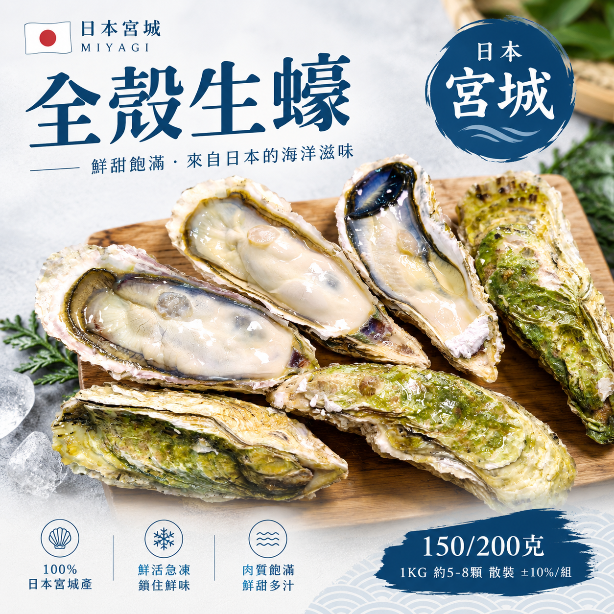 日本全殼生蠔(宮城)150/200_1KG約5-8顆散裝±10%/組