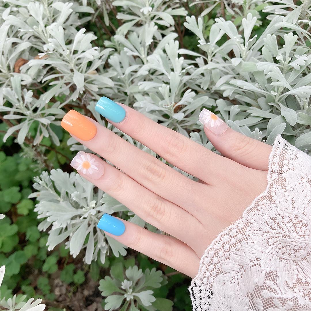 秋夜萱草