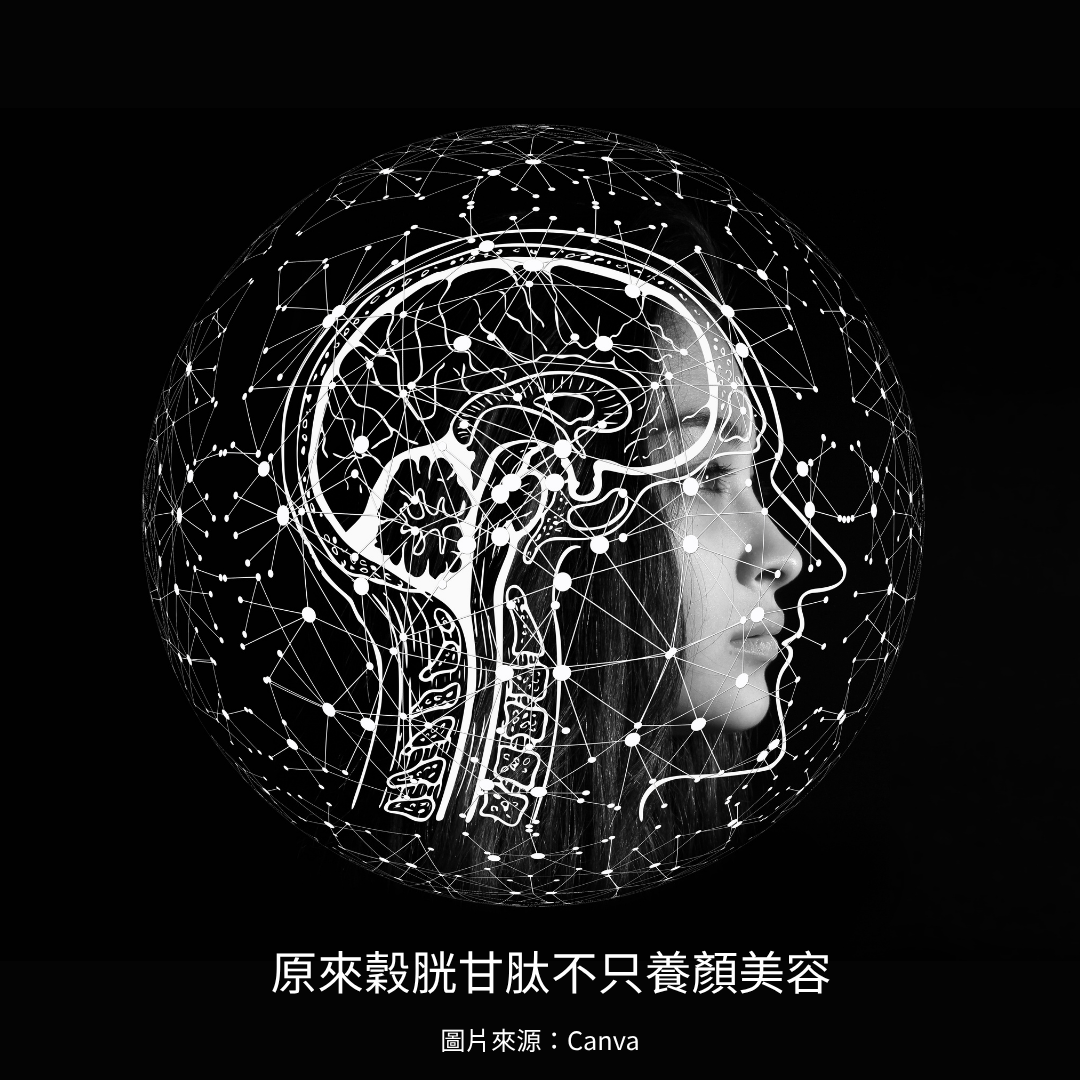 認識穀胱甘肽，了解細胞的日常修復機制