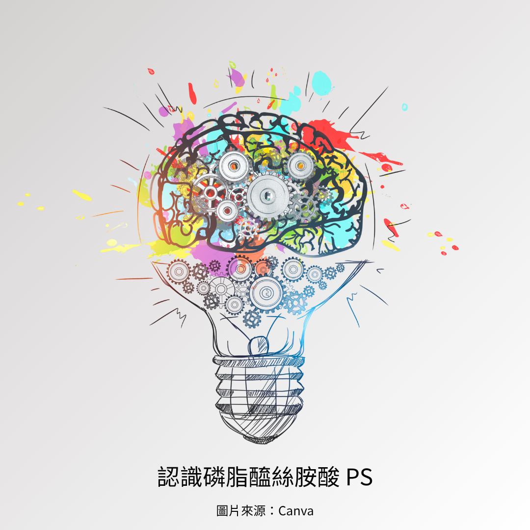 認識磷脂醯絲胺酸（PS）