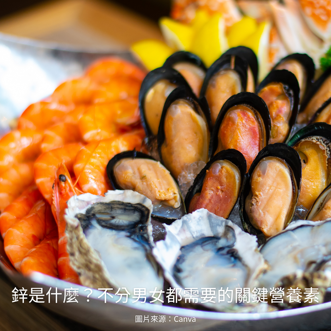 鋅是什麼？不分男女都需要的關鍵營養素