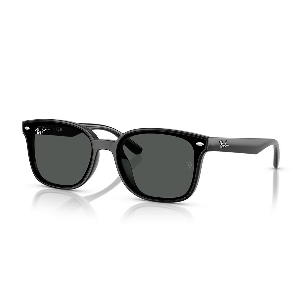 RayBan雷朋｜RB4461D長方形膠框太陽眼鏡 黑色大鏡片墨鏡(601/87)