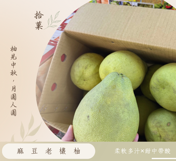 麻豆老欉柚（產銷履歷）