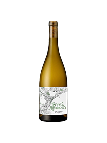 畢卡特雷斯特雷斯阿凡奇斯Magon特釀白葡萄酒 Terres Affranchies Cuvee Magon