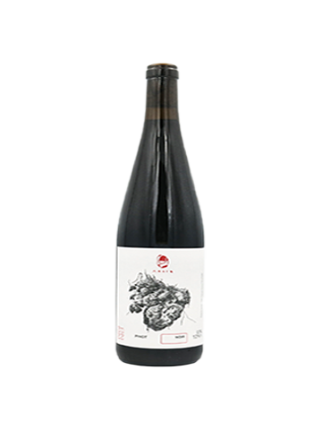 Pinot Noir 2022