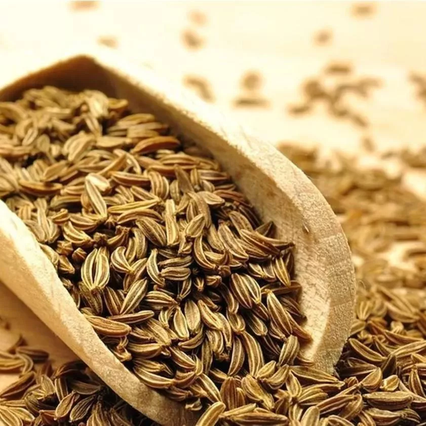 Caraway Essential Oil 小茴香精油