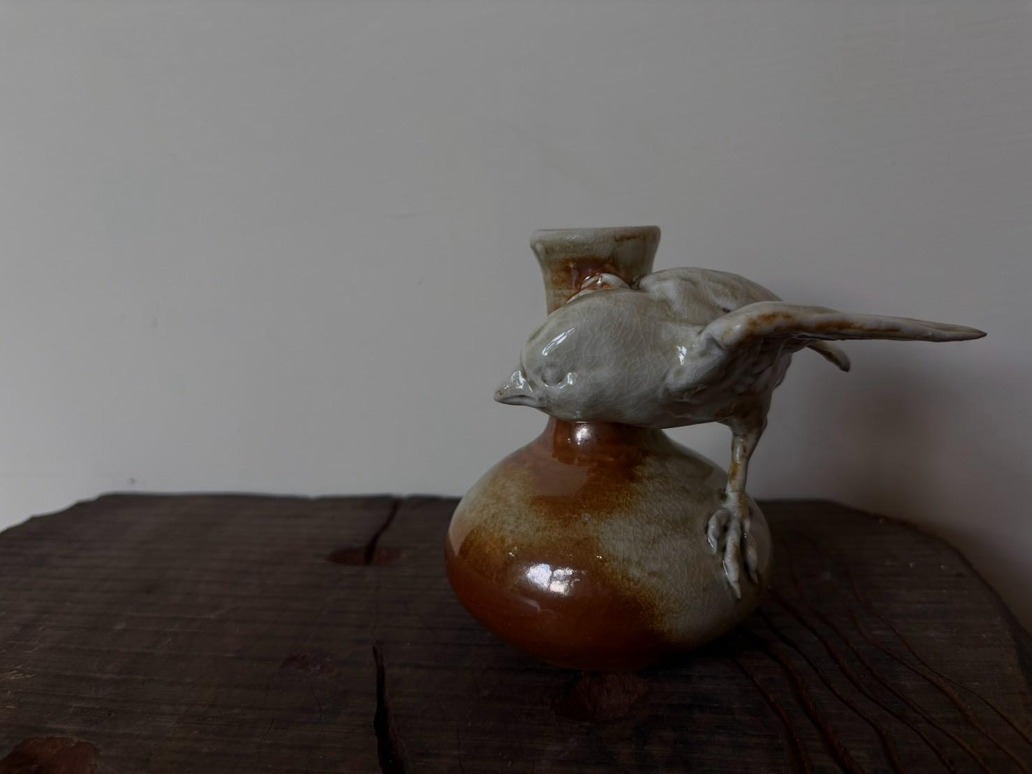小麻雀展翅