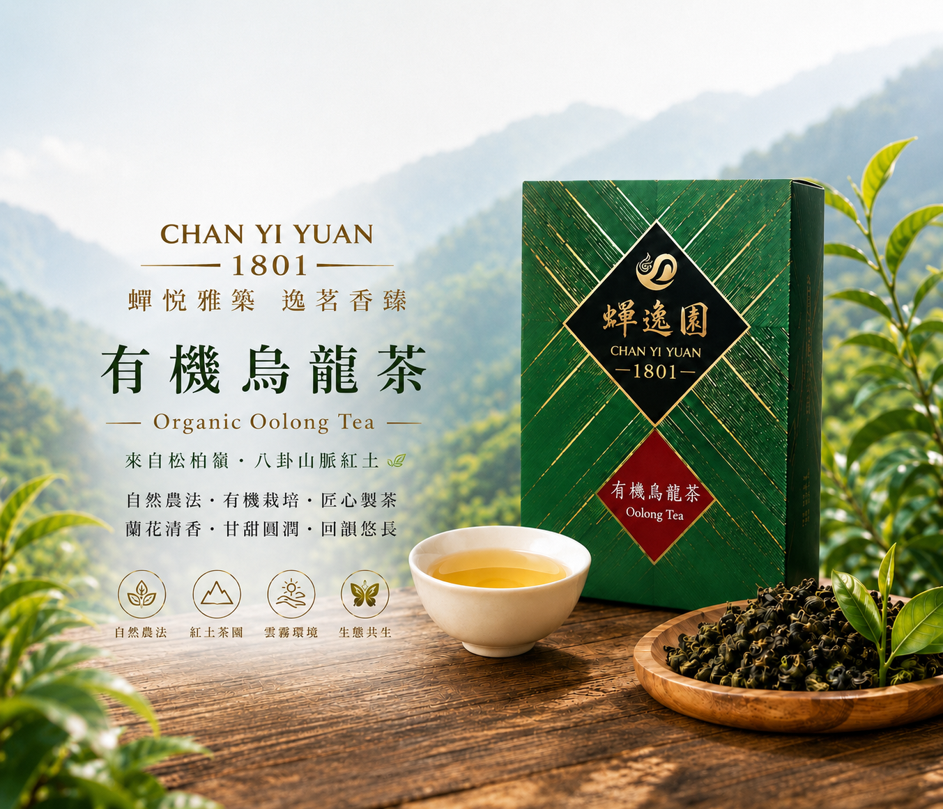 有機烏龍茶