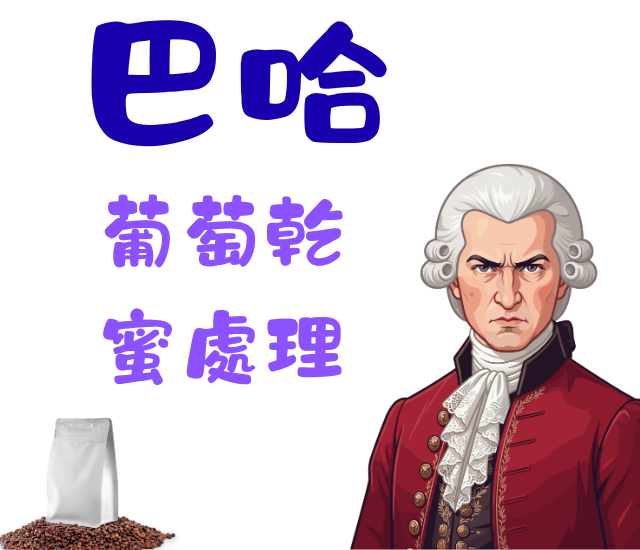 哥斯大黎加卡內特莊園音樂家系列-巴哈