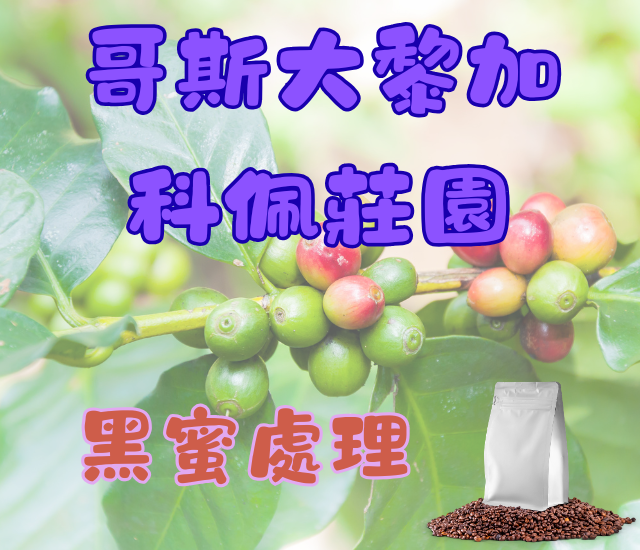 哥斯大黎加科佩莊園 