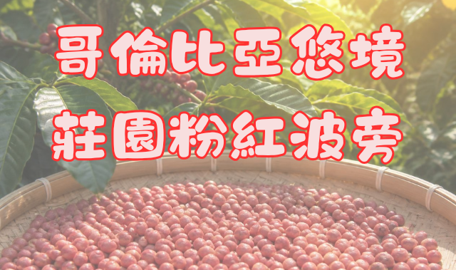 哥倫比亞 悠境莊園 粉紅波旁 水洗