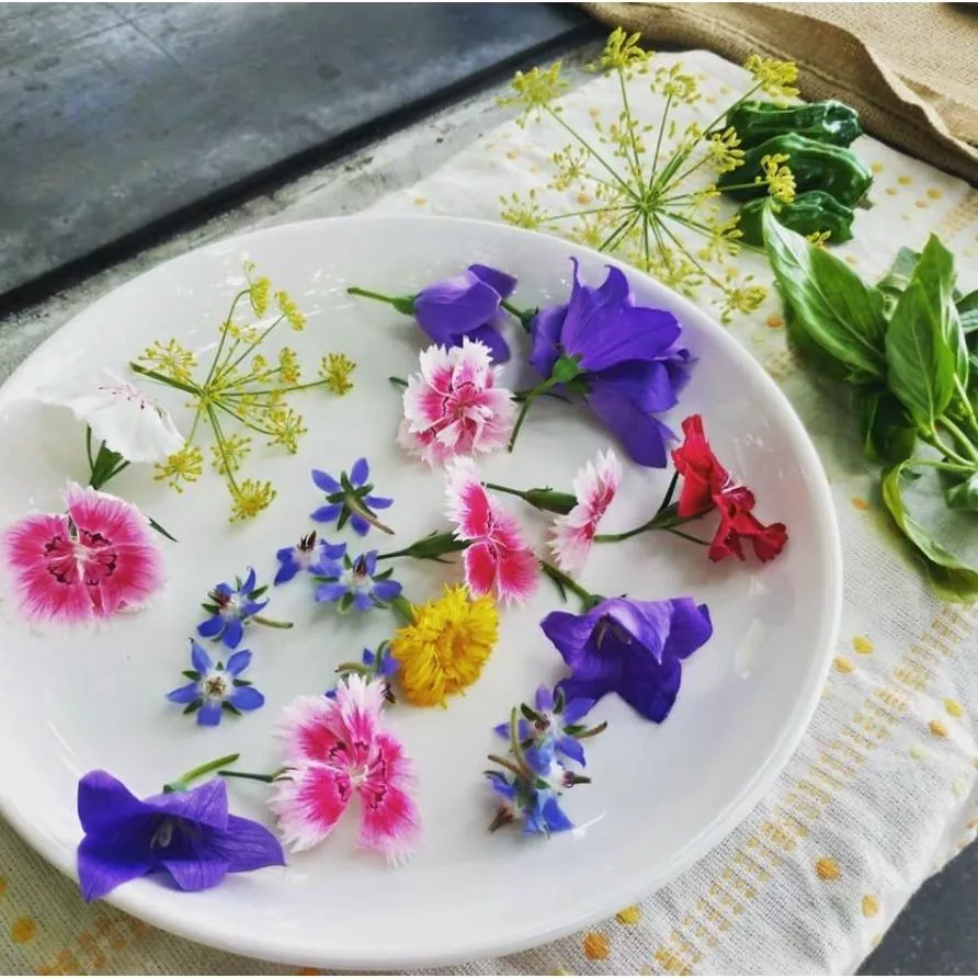 禾亮家 複方花草茶包 可任搭 香蜂紫錐花茶  台灣花蓮友善栽種 自然清香 [新村小商號]
