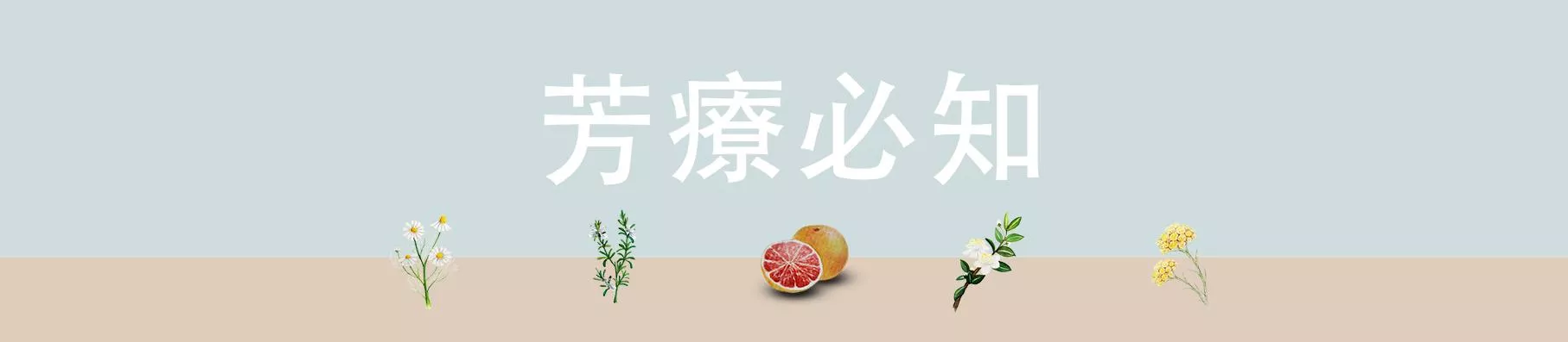 芳療必知