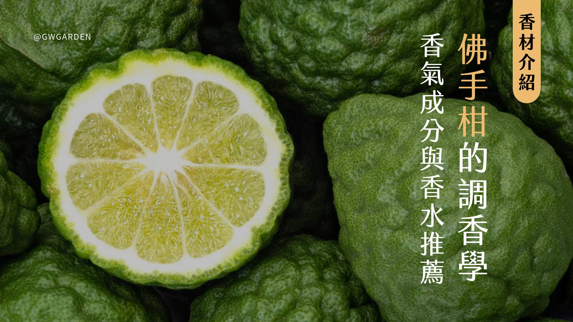 佛手柑的調香學全解析：了解香氣成分打造香水晨光清新感！文末 5 款佛手柑香水推薦