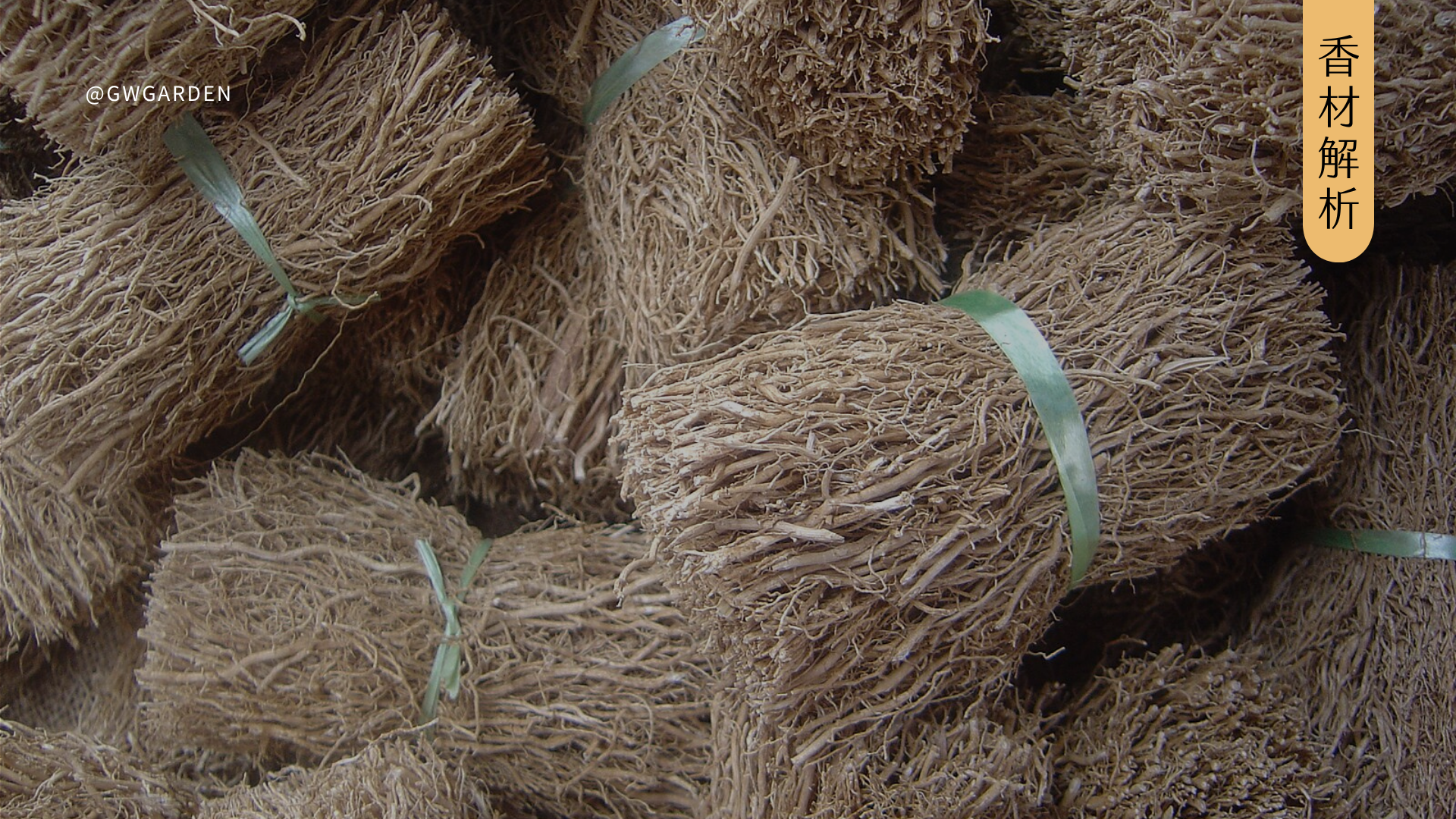 岩蘭草香氣解析｜讓香水耐聞又有故事感的關鍵：岩蘭草｜岩蘭草精油功效、調香應用指南與香水推薦（Diptyque 青黛琉璃、TOM FORD 東方旅人）