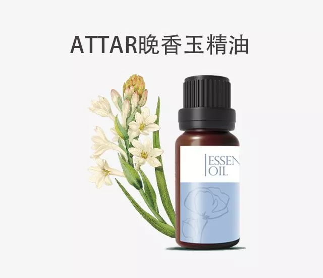Attar晚香玉