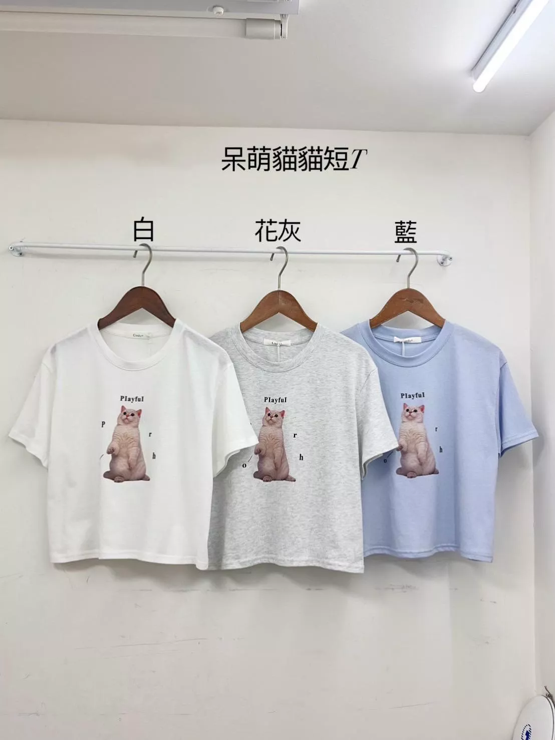 冰絲涼感呆萌貓咪短TEE (3色)