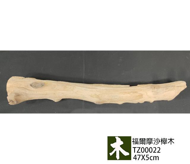 福爾摩沙紅櫸木
