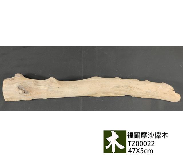 福爾摩沙紅櫸木