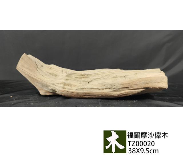 福爾摩沙紅櫸木