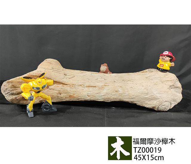 福爾摩沙紅櫸木