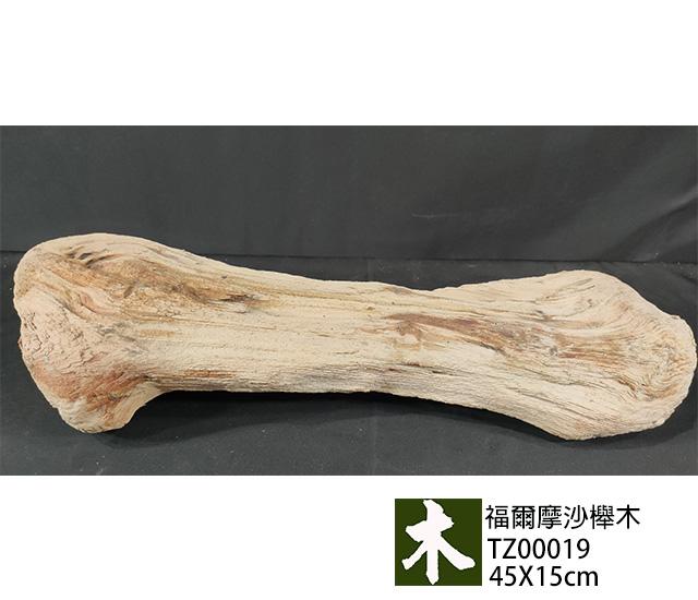 福爾摩沙紅櫸木