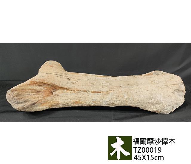 福爾摩沙紅櫸木