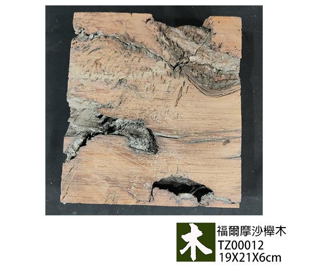 福爾摩沙紅櫸木