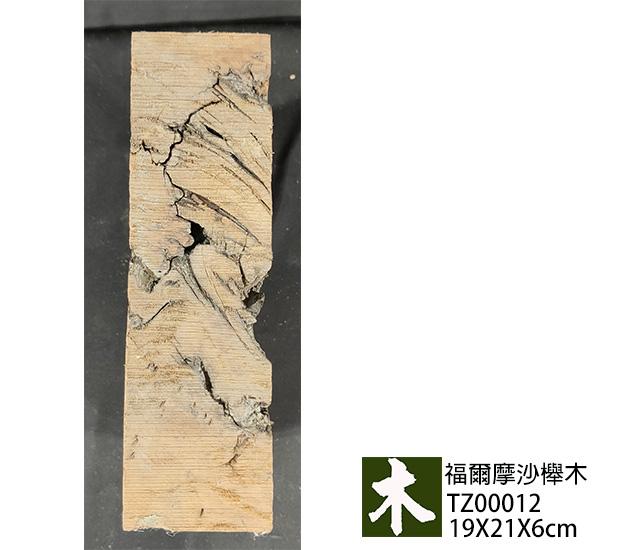 福爾摩沙紅櫸木